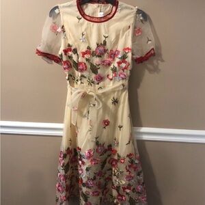 CottageCore Embroidered Tulle dress midi floral